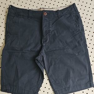 Hollister Cali Longboard Shorts SZ 33 Mens Dark Navy